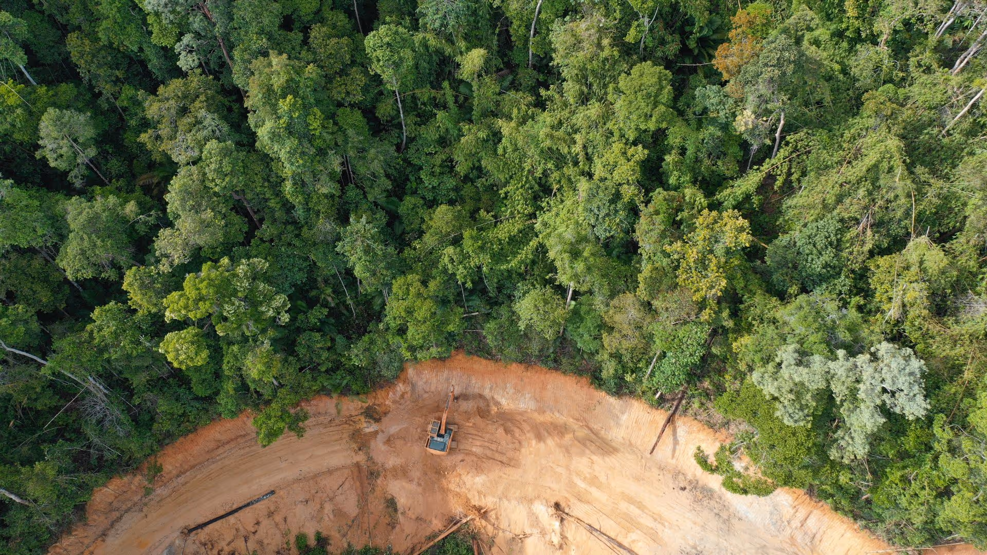 Deforestation-free supply chains under the European Union Deforestation Regulation