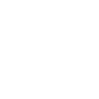Telephone icon