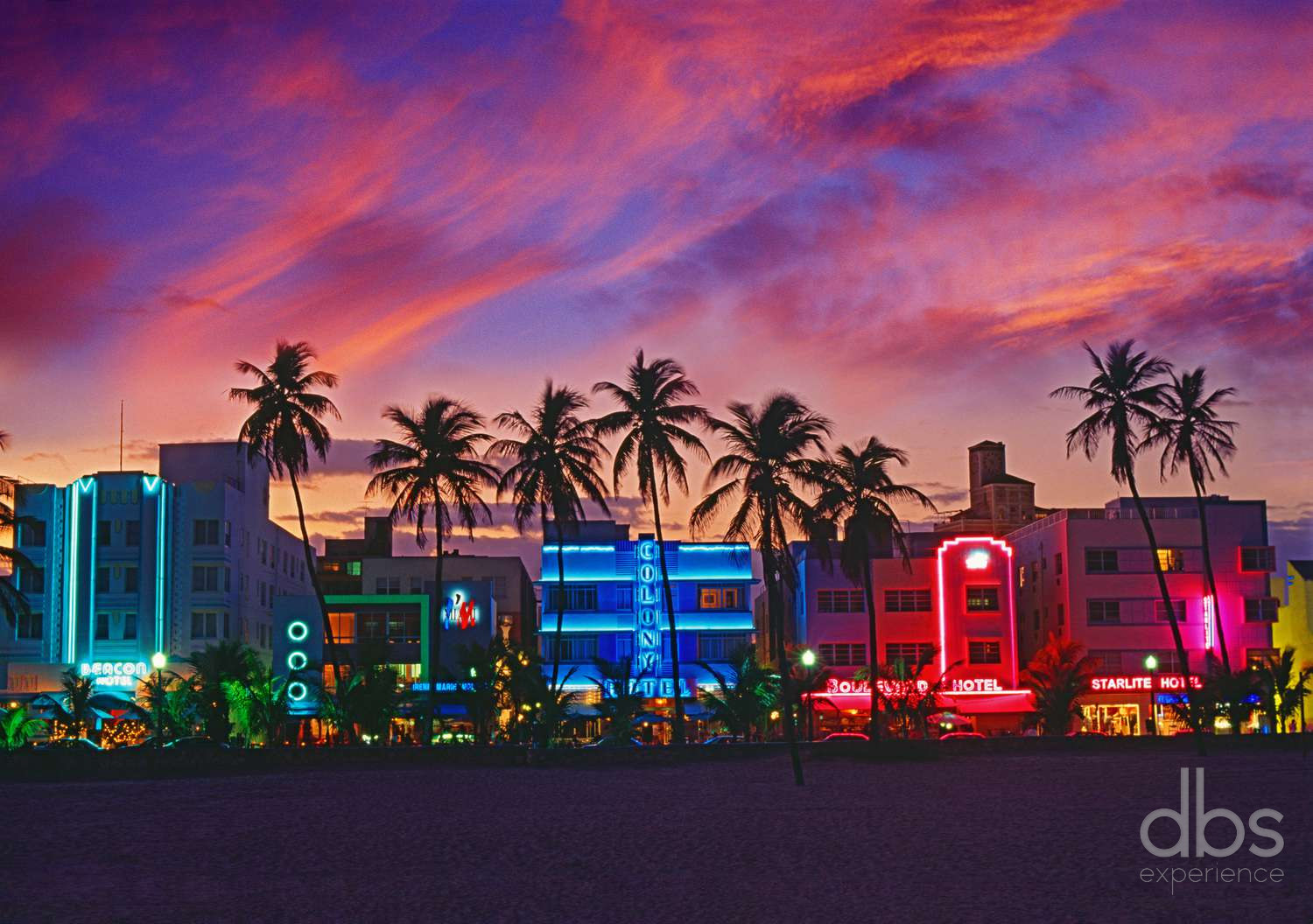 Art Deco hotels lit in neon behind palm trees at dusk in Miami Beach