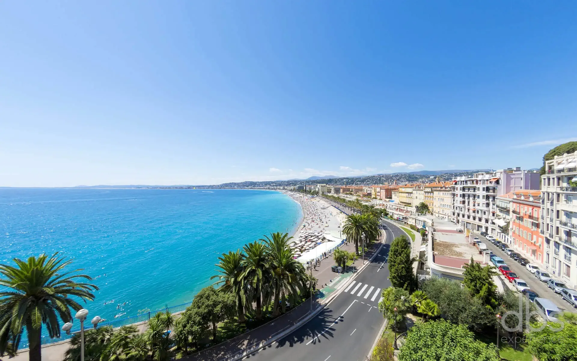 Seafront promenade lined with palm trees along the turquoise bay in Nice