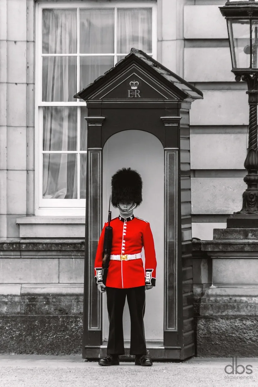 Royal guard in a red tunic and bearskin standing in a sentry box, black and white with red