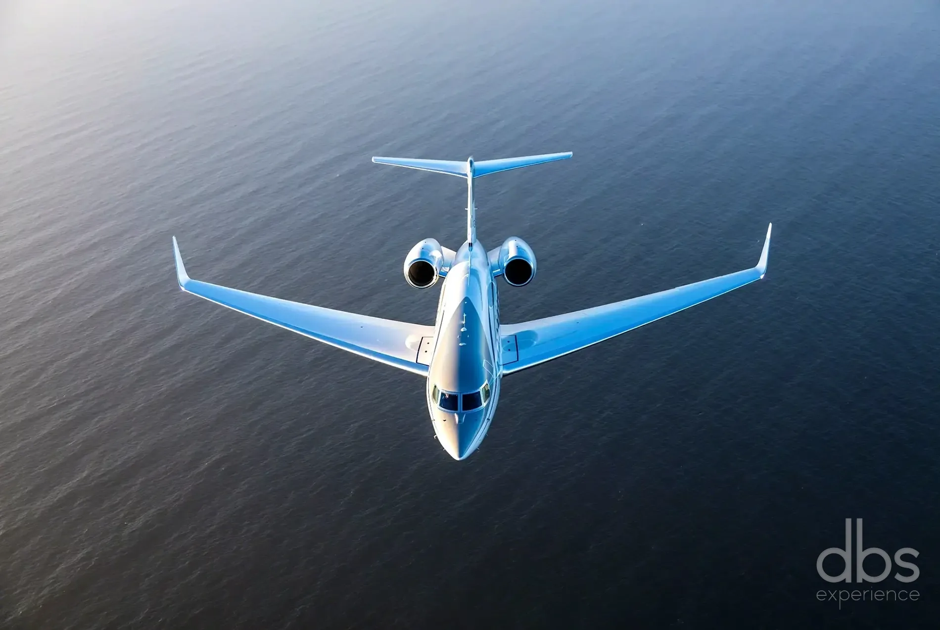 Transport terrestre pour l’aviation d’affaires à Paris, DBS EXPERIENCE