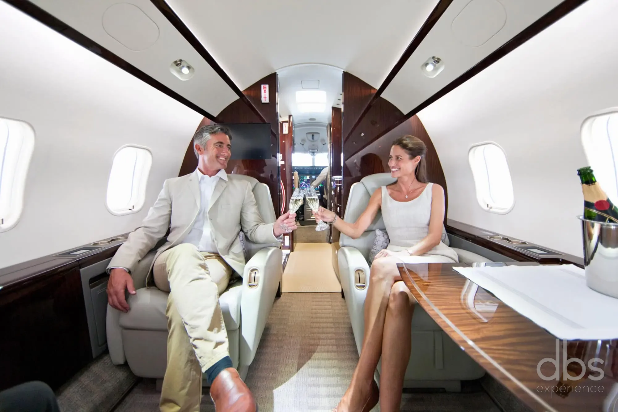 Voitures avec chauffeur attendant auprès de jets privés à Paris