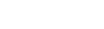 Vinci Construction