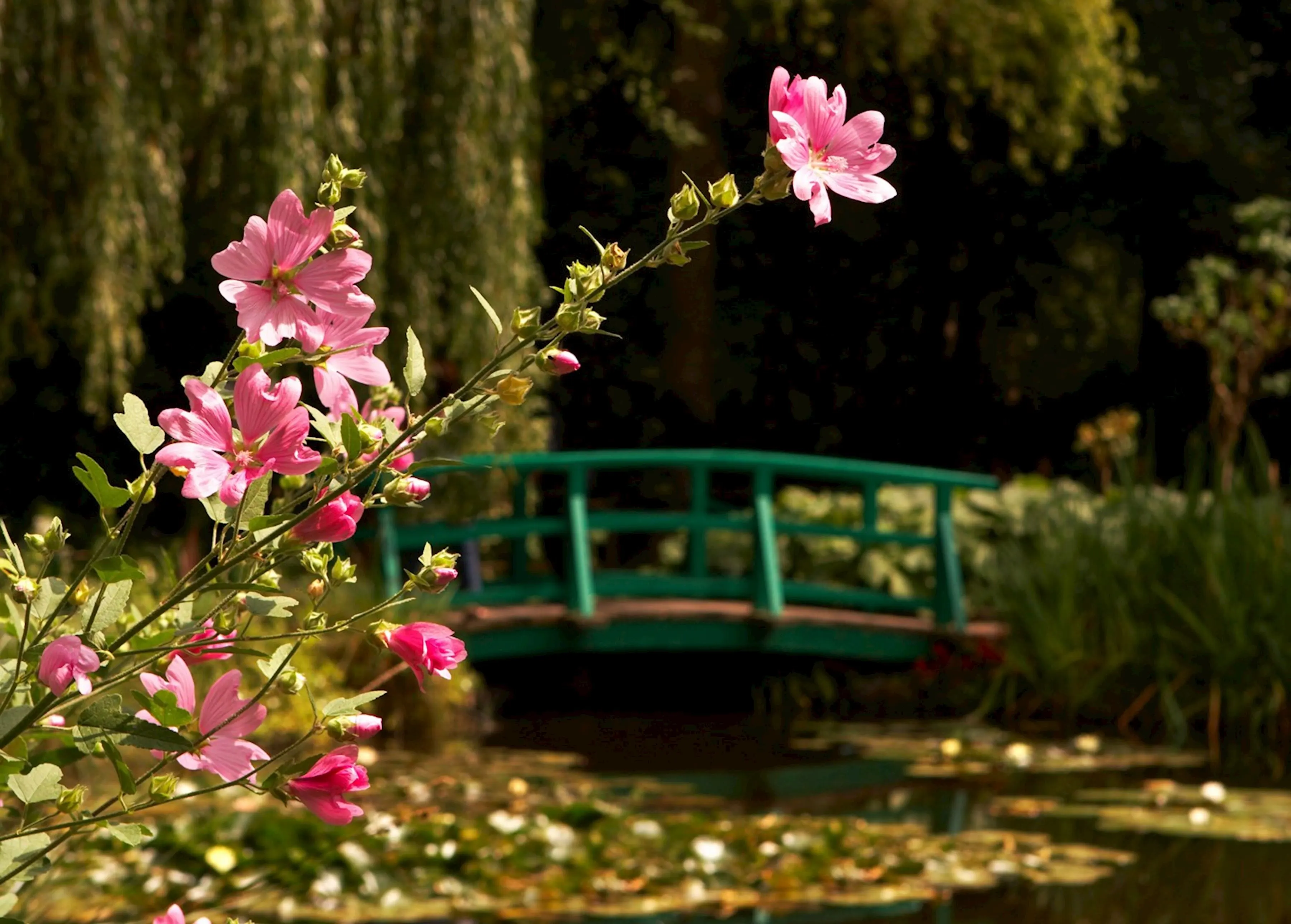 Giverny Gardens Chauffeur Tours.