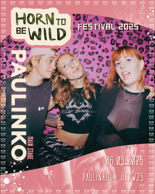 In der Mitte posieren die drei Mitglieder von PAULINKO vor einer pink-lilanen Wand mit Leopardenmuster. Alle lächeln oder lachen in die Kamera, in auffälliger Kleidung und Partystimmung.