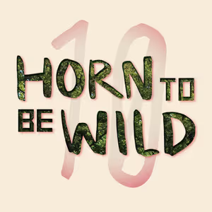 Logo der HTBW 2025 Spotify Playlist auf dem "Horn to be Wild" mit einer 10 im Hintergrund steht.