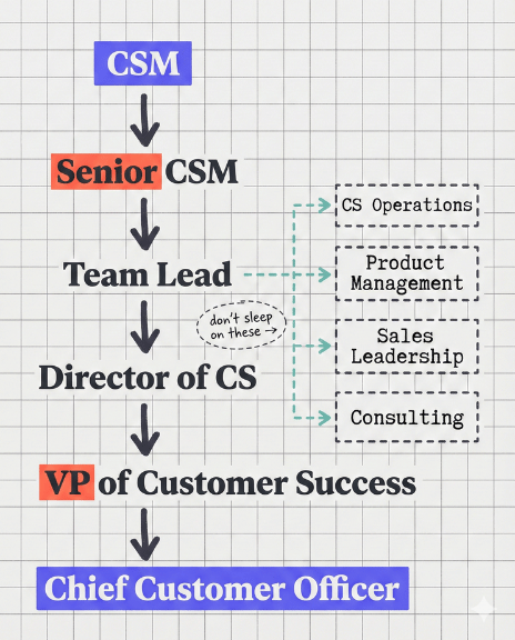  Career path diagram: CSM progression from entry level to CCO with lateral moves