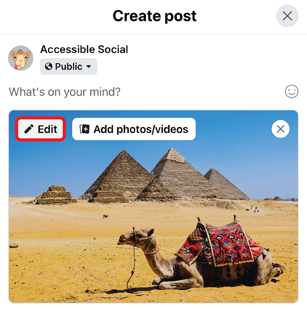 Screenshot of the Create Post window on desktop Facebook. An image of a camel has been uploaded. The Edit button in the upper left corner of the image is outlined in red. 