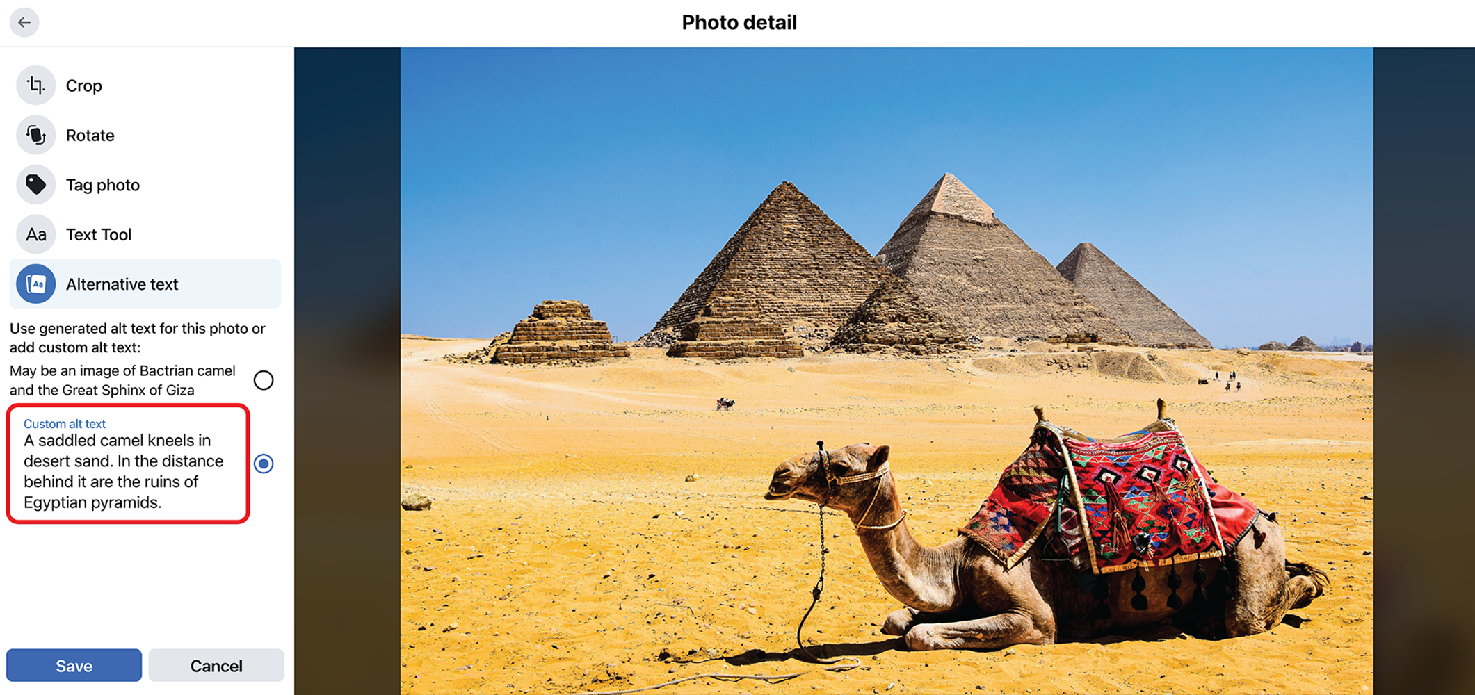 Screenshot of the Photo Detail window on desktop Facebook. An image of a camel has been uploaded. The alt text field is outlined in red and an image description has been written inside of it. 