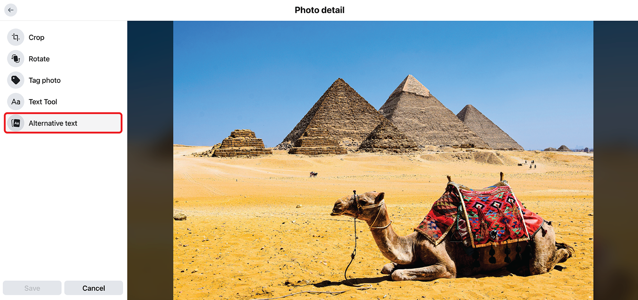 Screenshot of the Photo Detail window on desktop Facebook. An image of a camel has been uploaded. In the left sidebar, the Alternative Text button is outlined in red. 