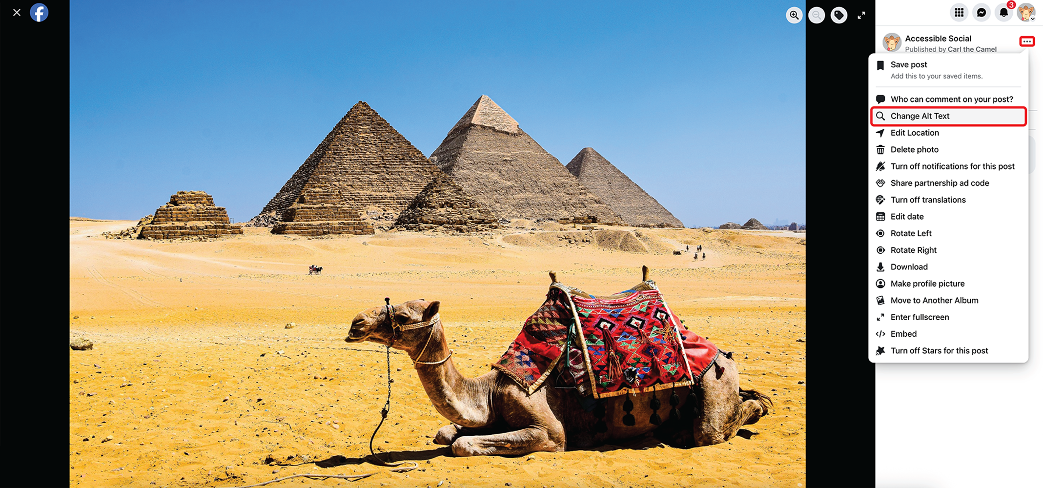 Screenshot of an image of a camel posted to Facebook on desktop. The three dots menu has been clicked and the Change Alt Text option has outlined in red. 