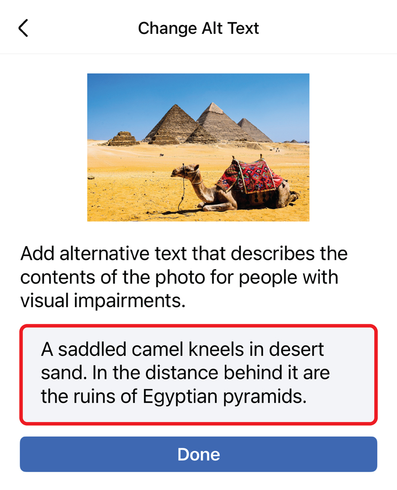 Screenshot of the Change Alt Text window on mobile Facebook. An image of a camel has been uploaded. The alt text field is outlined in red and an image description has been written inside. 