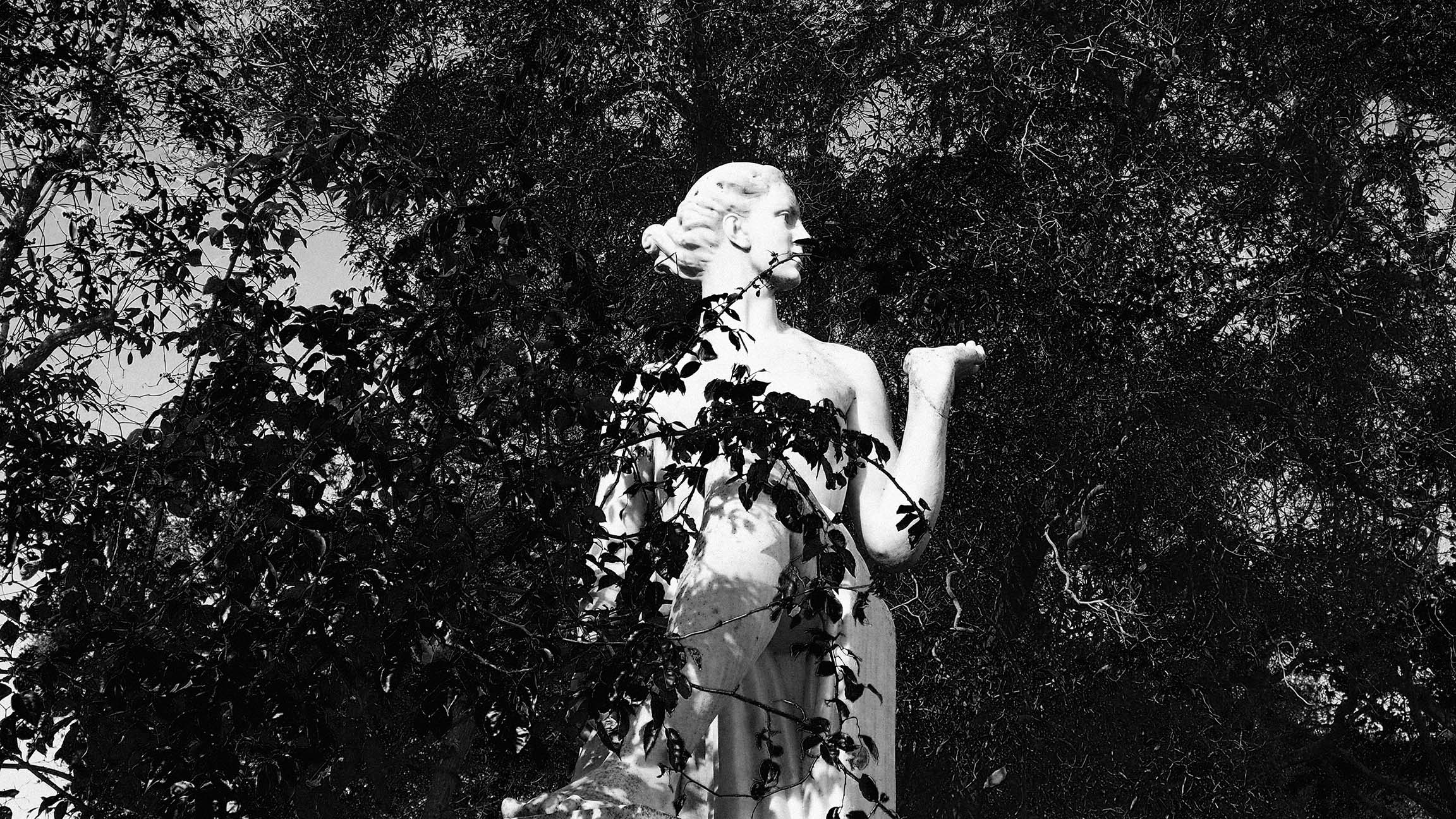 Black and white photo of a classical-style statue of a woman partially obscured by tree branches and leaves, with dense foliage in the background.