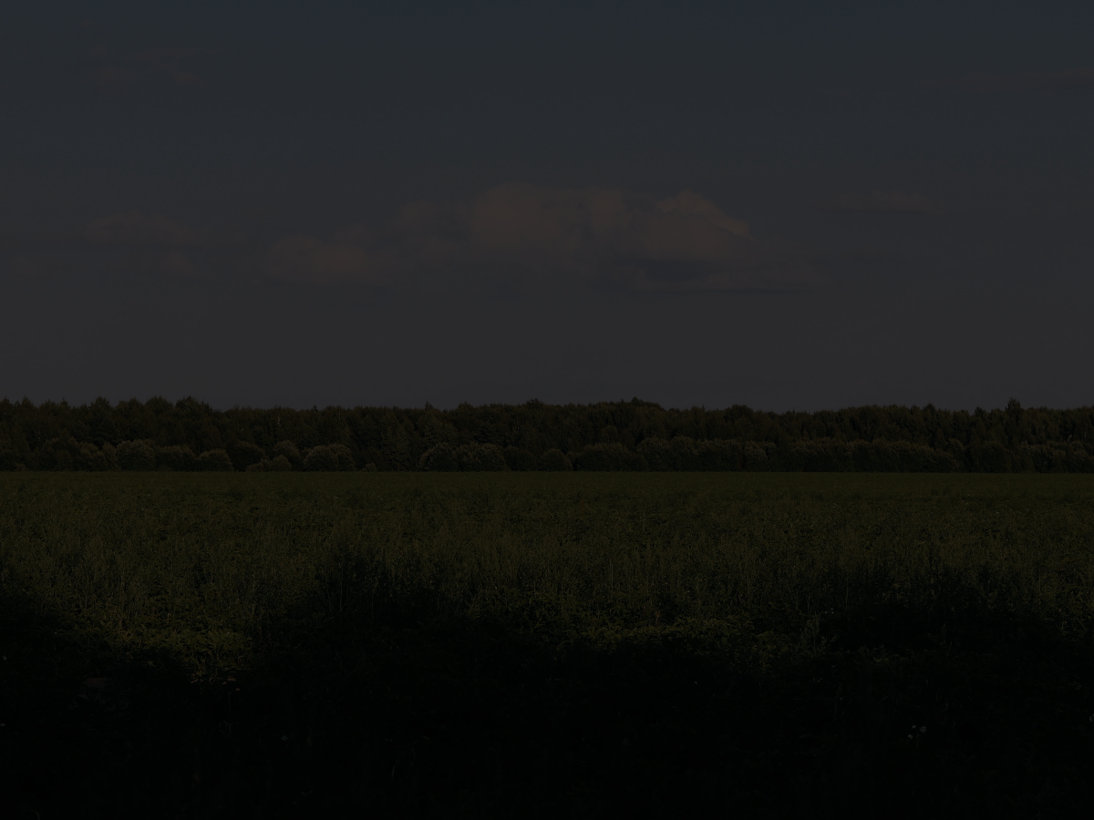 Navigating MTA and DMA: How Full-Service Land Management Prevents Costly Title Mistakes