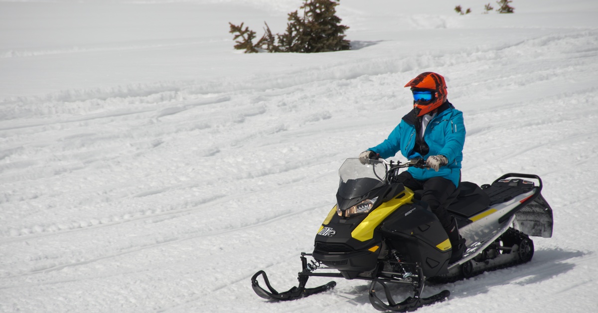 A young boy in a blue snow jacket and black snowpants sits on a snowmobile in winter landscape with large pine trees.