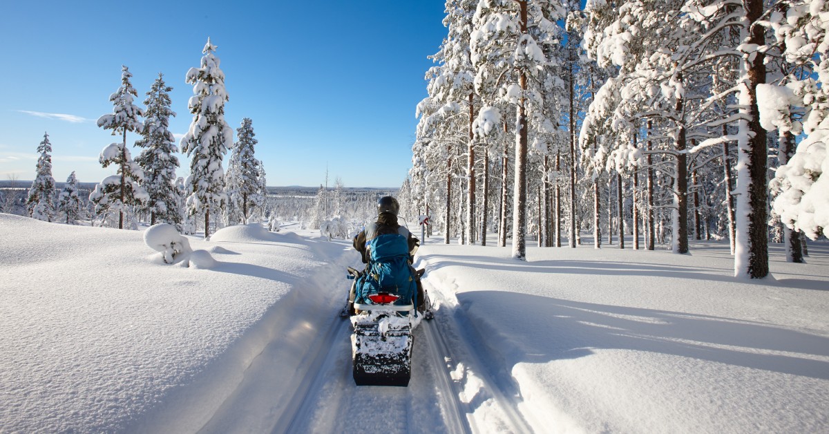 The backside of a person in a blue snow jacket rides a snowmobile down a trail; trees covered in snow surround the path.