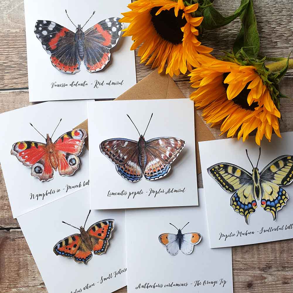Butterfly pop out card designs