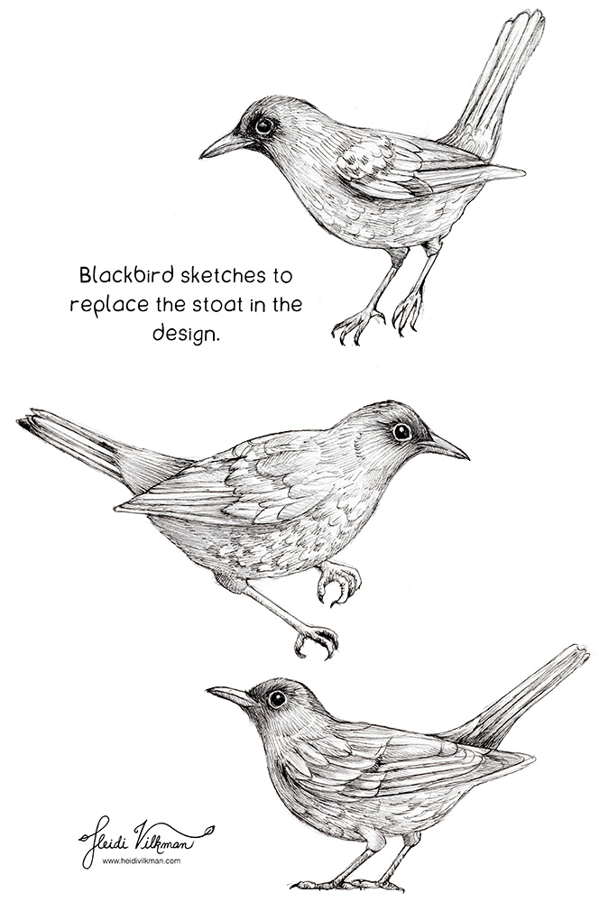 blackbird sketches