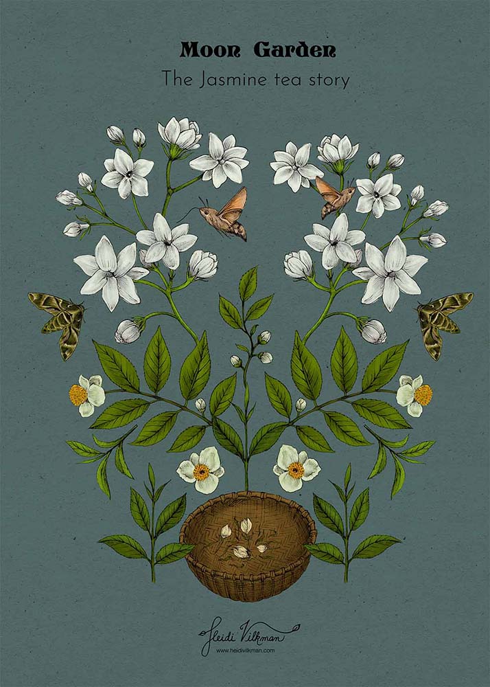 Jasmine Tea Story