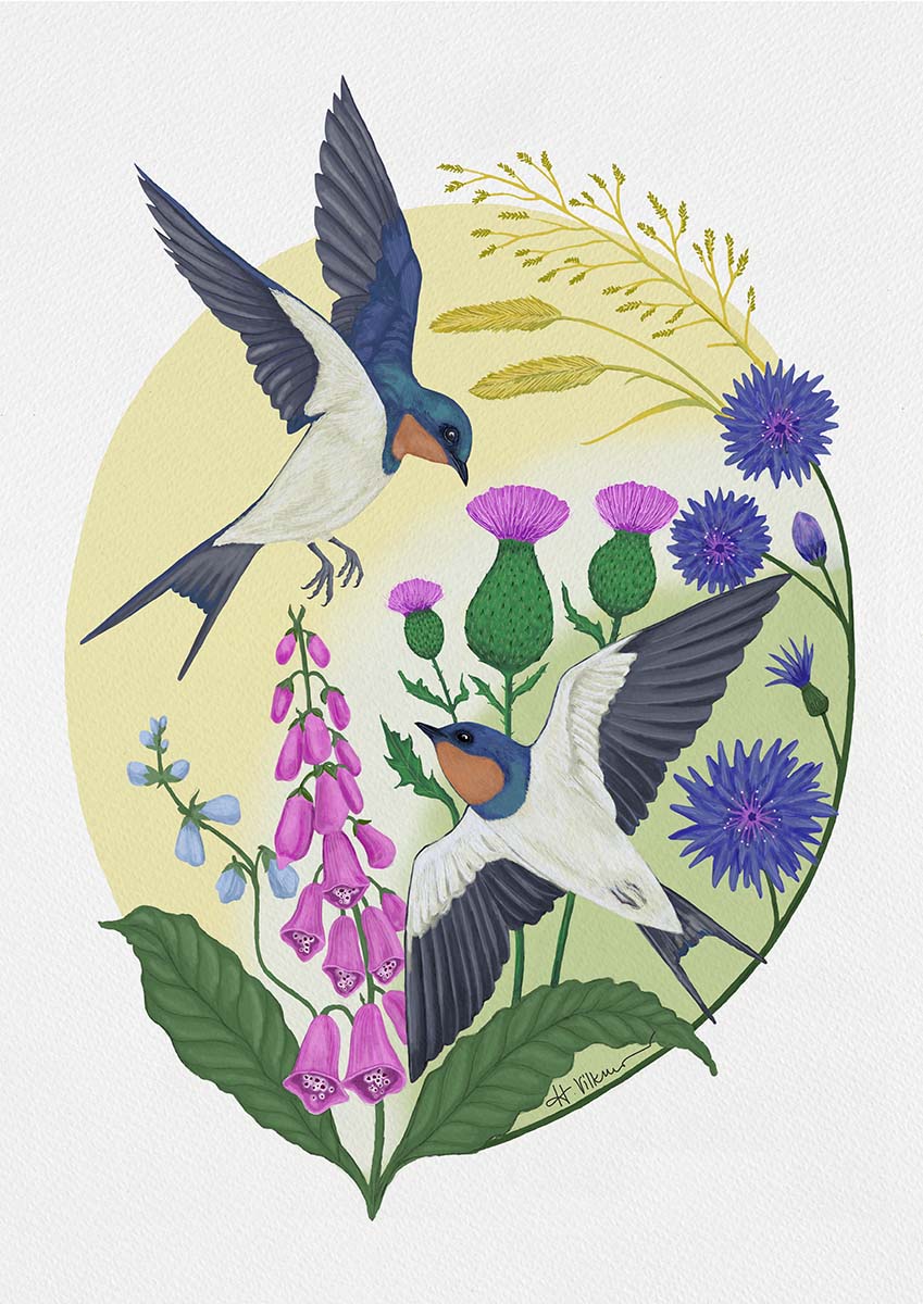 Four Seasons collection