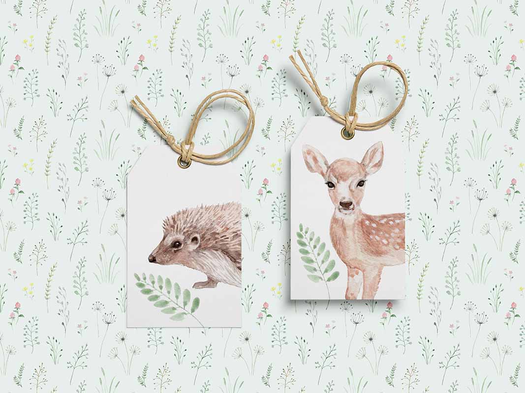 Nordic Forest Collection