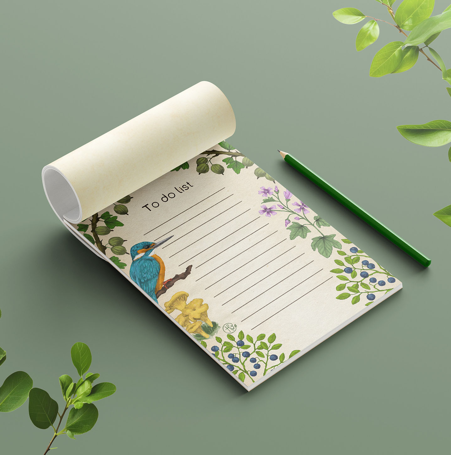 Seasonal foraging illustrations by Heidi Vilkman