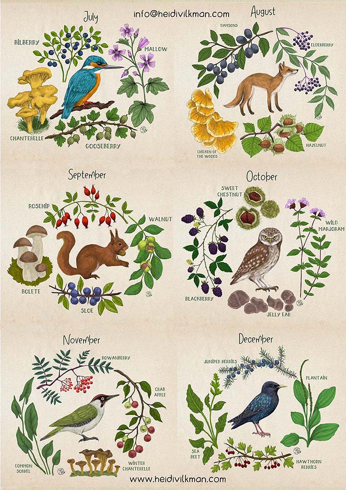 Forest lady bottle label 