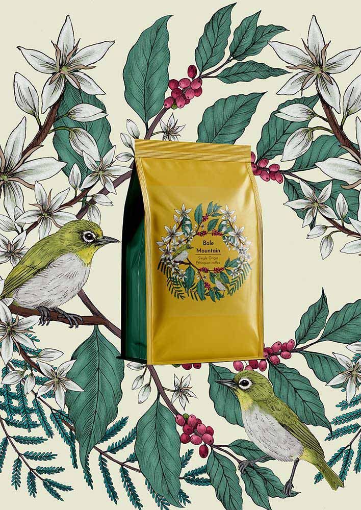 Kingfishers repeat pattern Heidi Vilkman