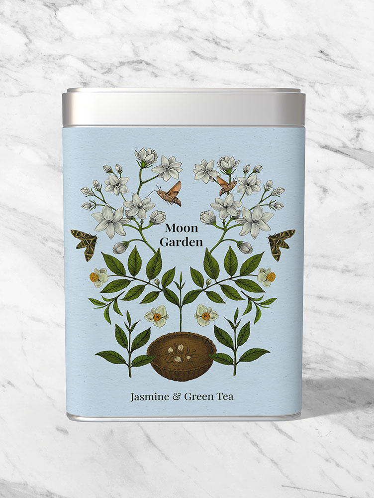 Jasmine tea story illustration Heidi Vilkman