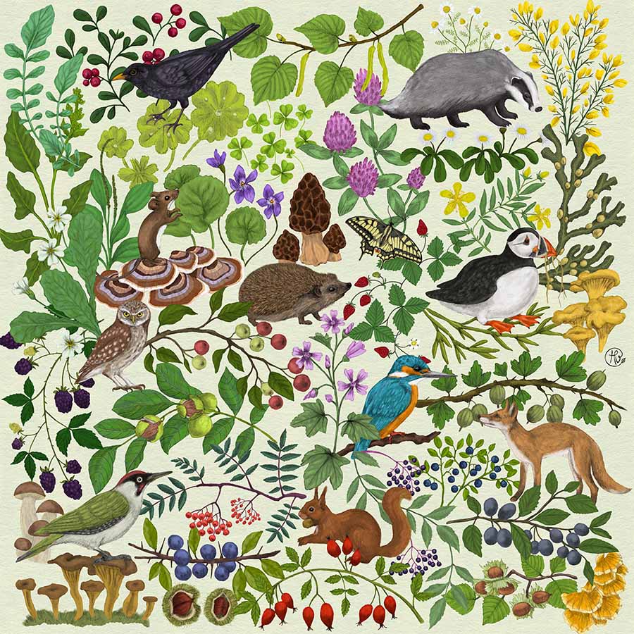 Beauty of Seasons nature illustrations by Heidi Vilkman