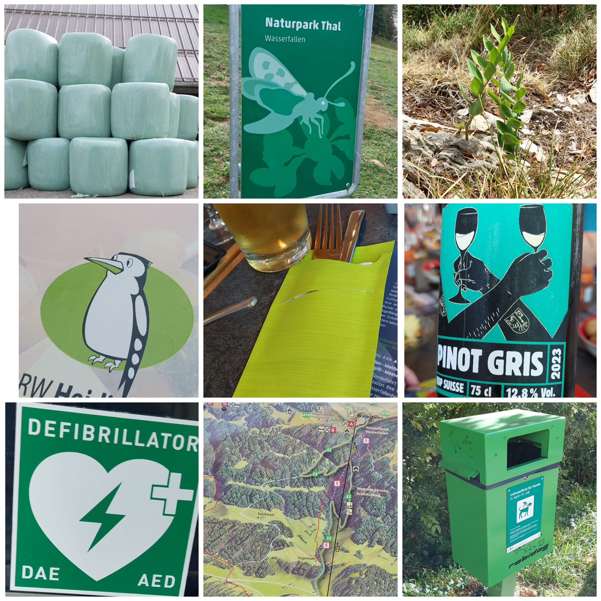 Wanderchallenege Grün - Fäbu
