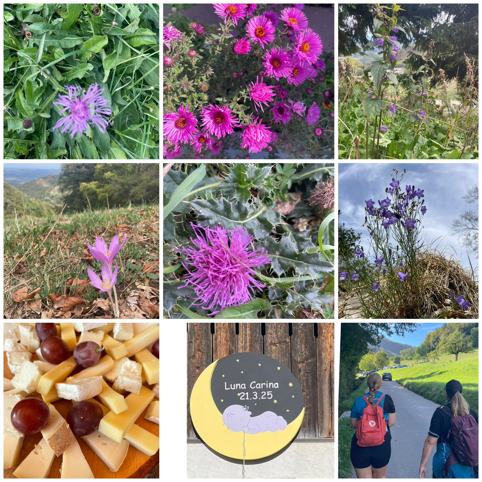 Wanderchallenge Violet/Pink - Loren
