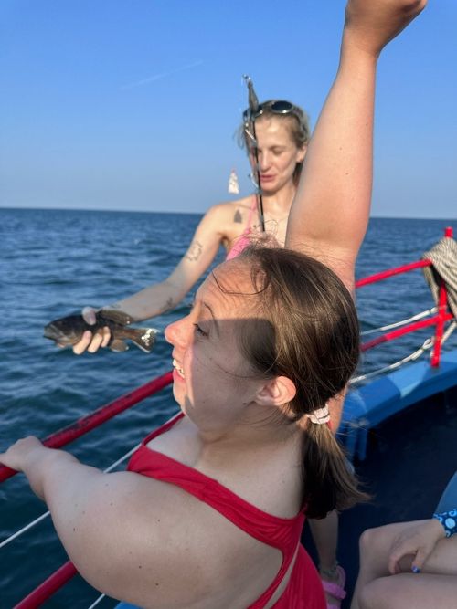 Fish are Friends Not Food