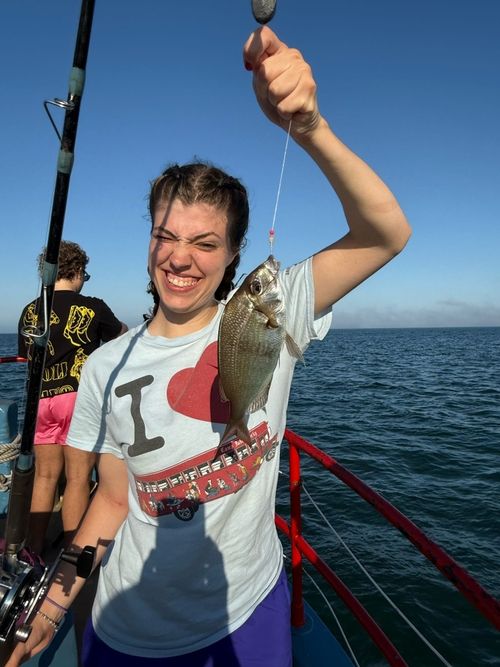 One Fish Two Fish Red Bus Blue Fish