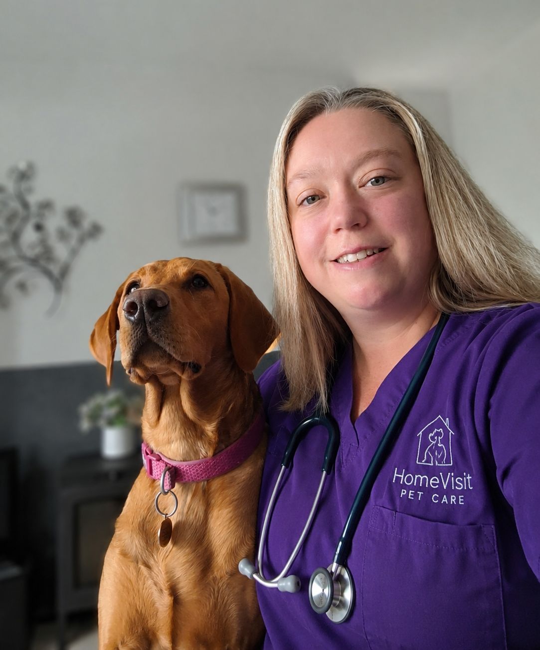 Pet Nurse Services Mission