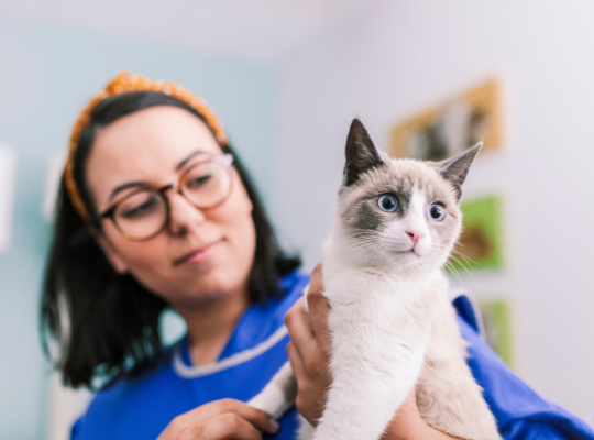 Home Visit Pet Care