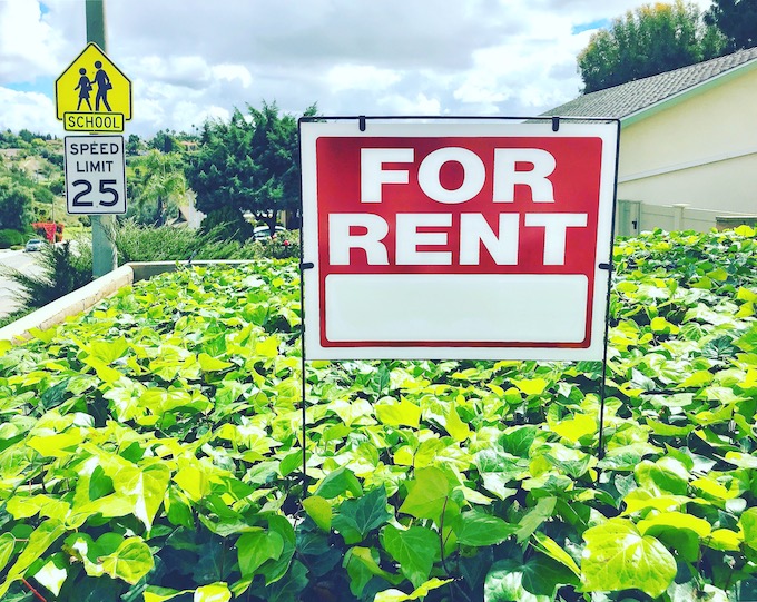 For rent sign in bed of plant foliage