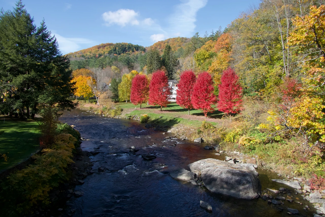 Colorful trees on a river in Woodstock, Vermont