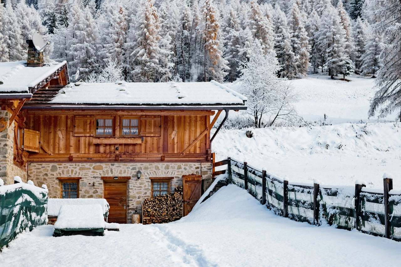 A rental home near a snowy mountain range with trees