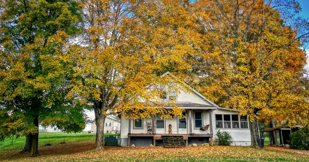 A house with a beautiful tree in Kentucky