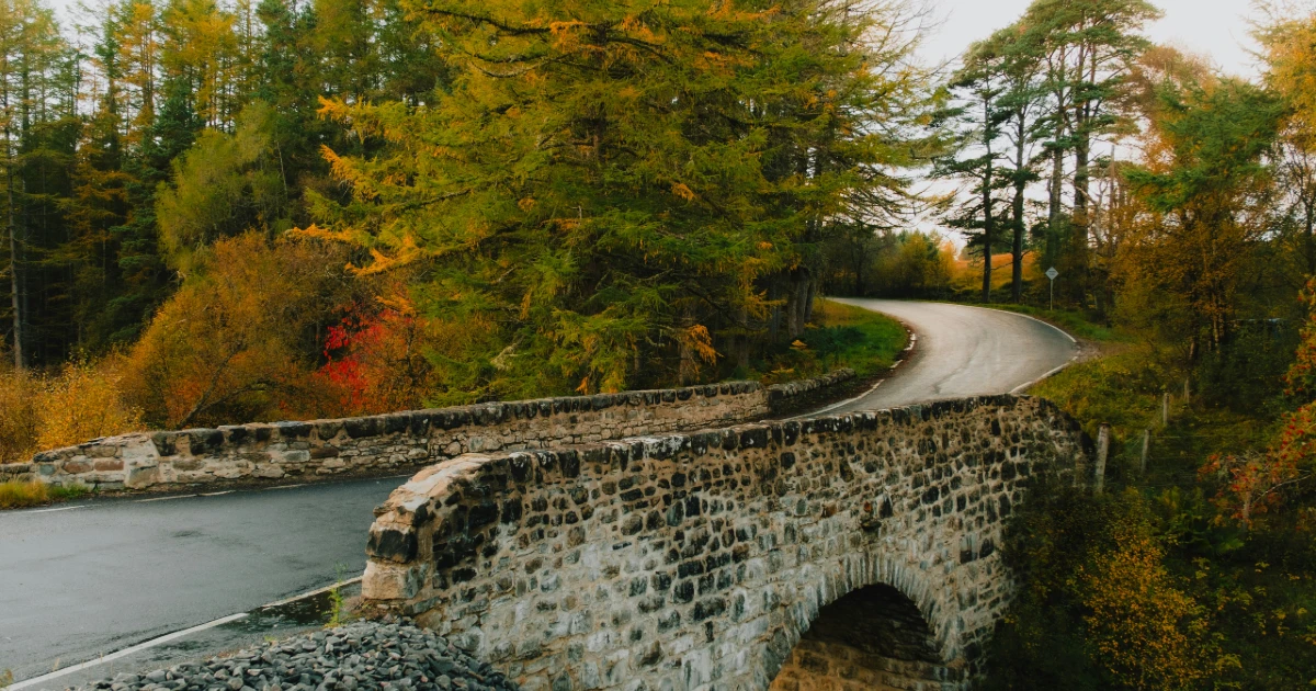 A beautiful leafy bridge in Pennsylvania