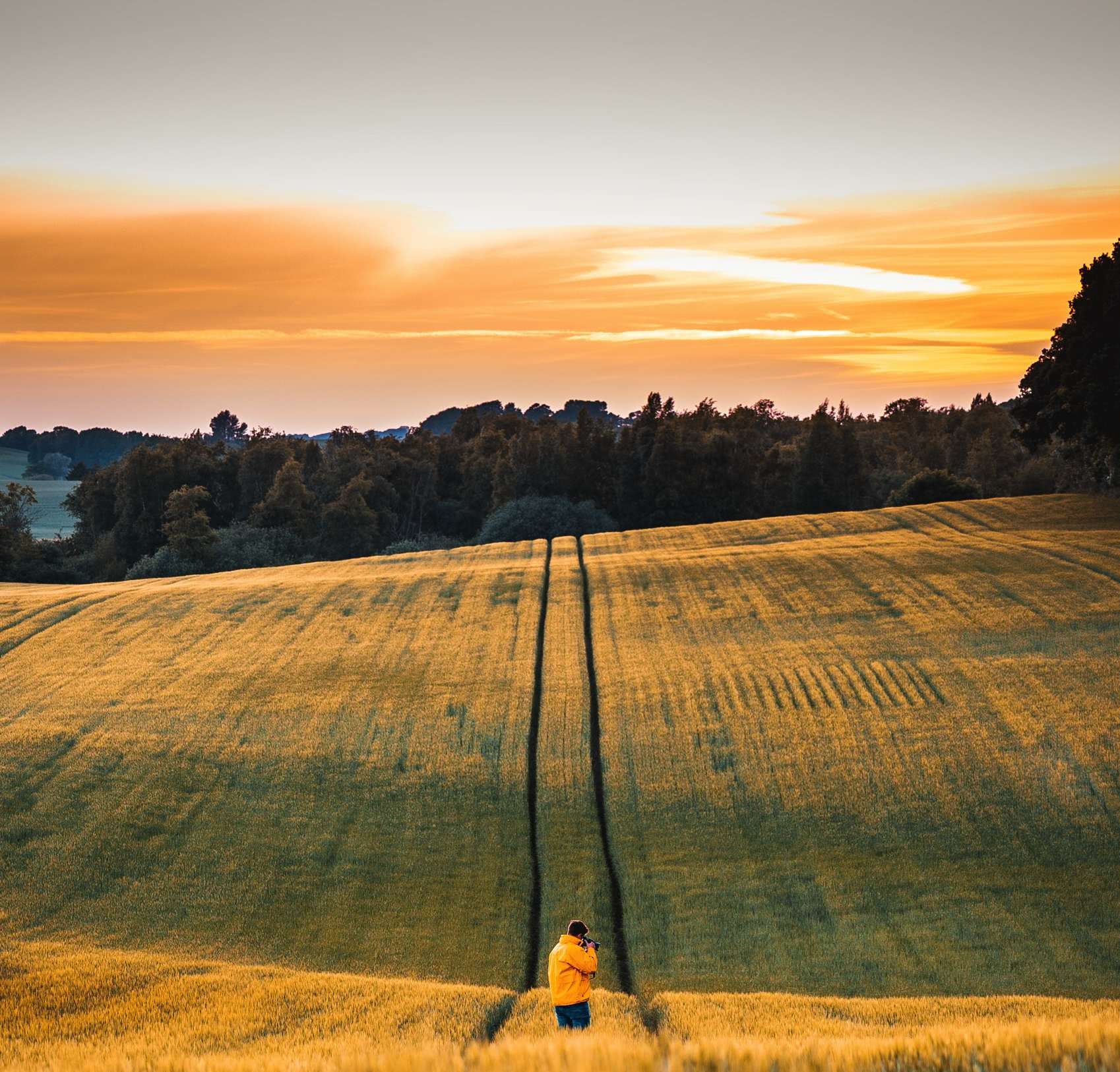  How robots are helping farmers in improving produce quality ? 