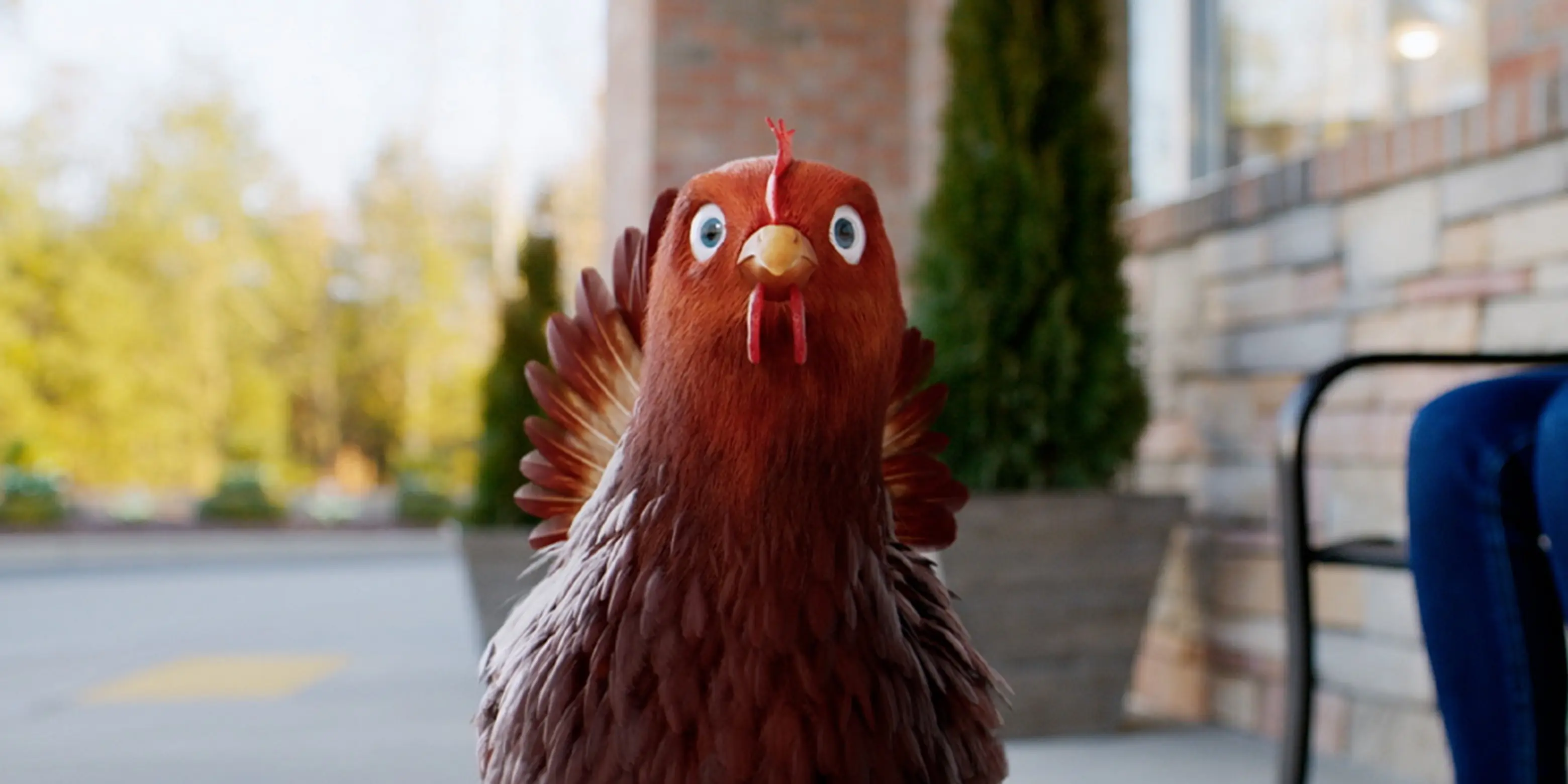 man looking at a chicken out the window
