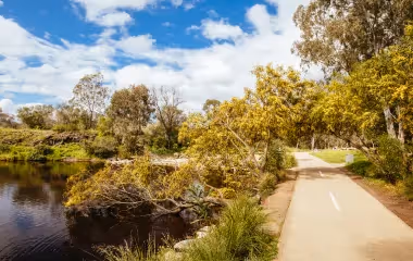 Parklands near Ivanhoe