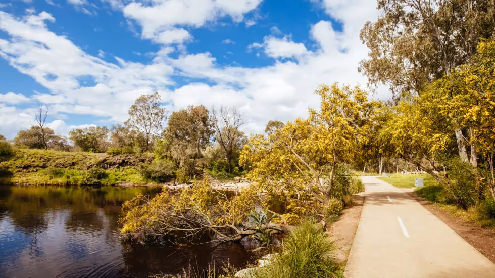 Parklands near Ivanhoe