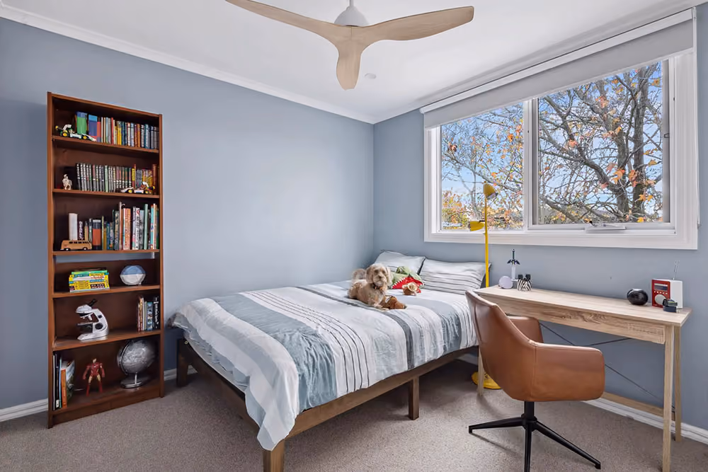 A light blue bedroom with a small dog lying on a striped bed, next to a tall bookcase, study desk, and large window.