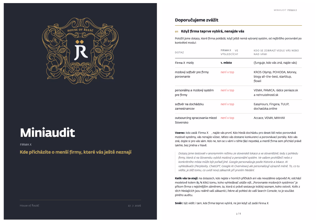 Náhled dvou stran miniauditu, firma anonymizovaná