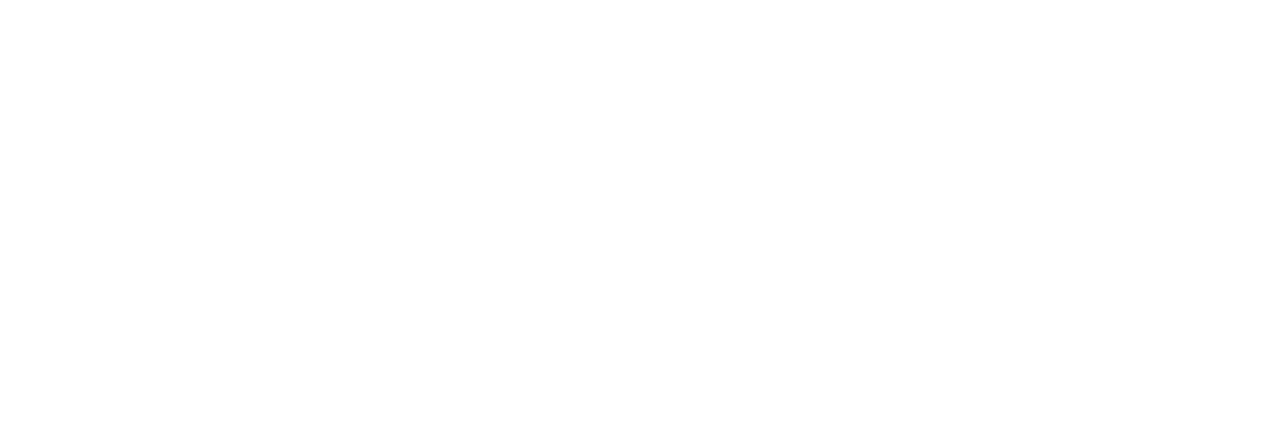 enpulse logo