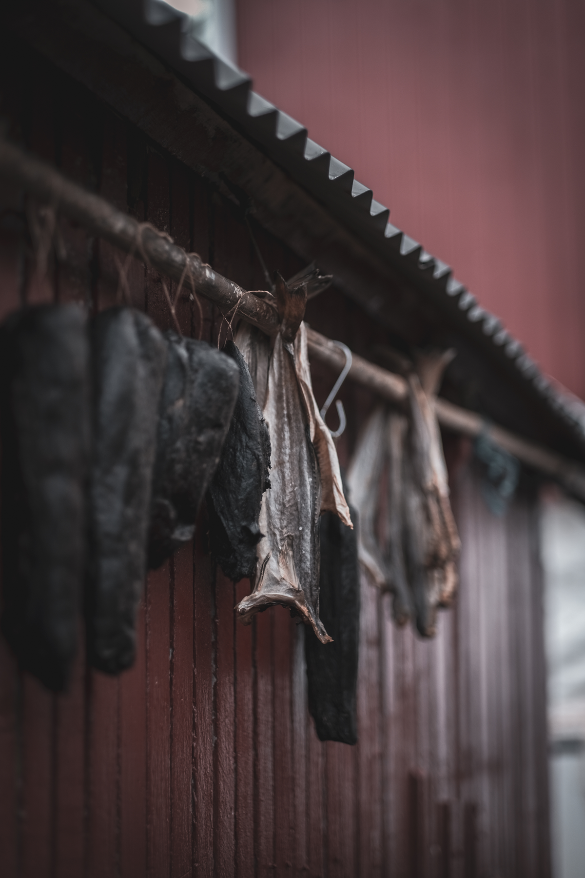 Taste of the Faroe Islands